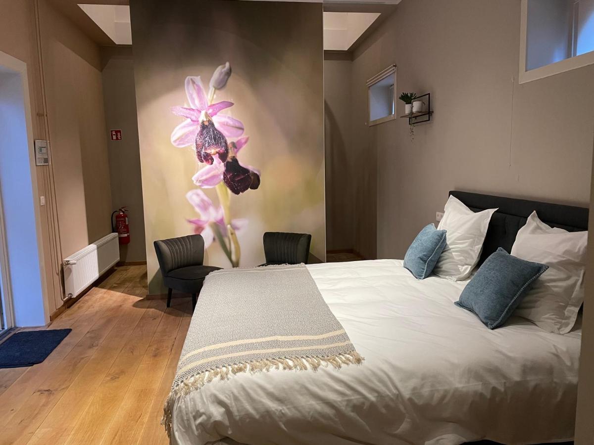B&B Het Doctershoes Kinrooi Eksteriør billede
